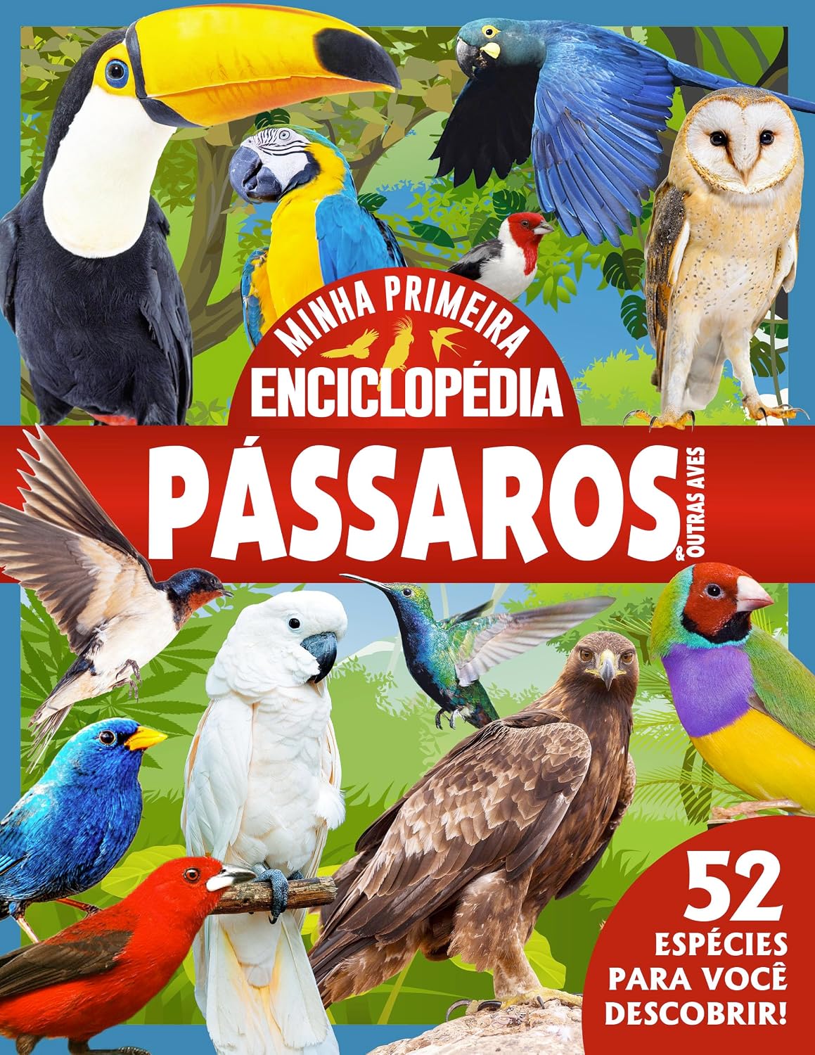 ler totalmente Minha Primeira Enciclopédia de Animais - Pássaros