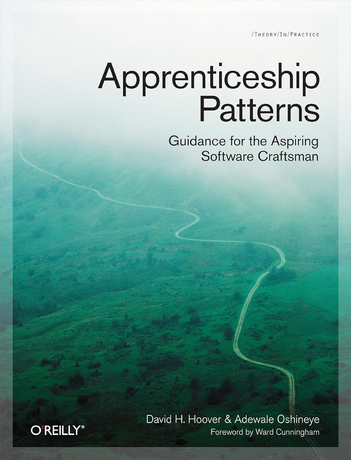 Apprenticeship Patterns: Guidance for the Aspiring Software Craftsman baixar o livro de graça