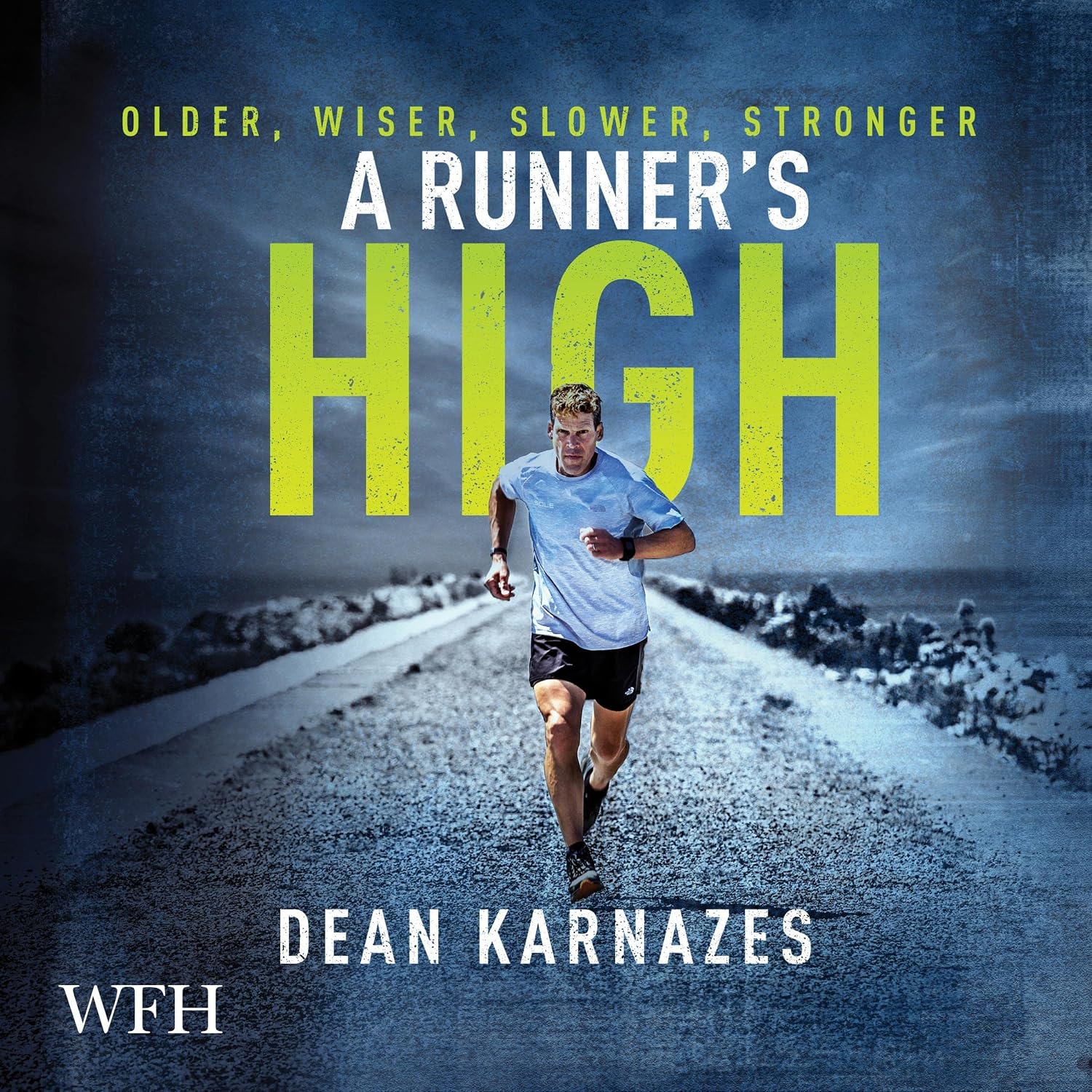A Runner's High: Older, Wiser, Slower, Stronger baixar livro de graça