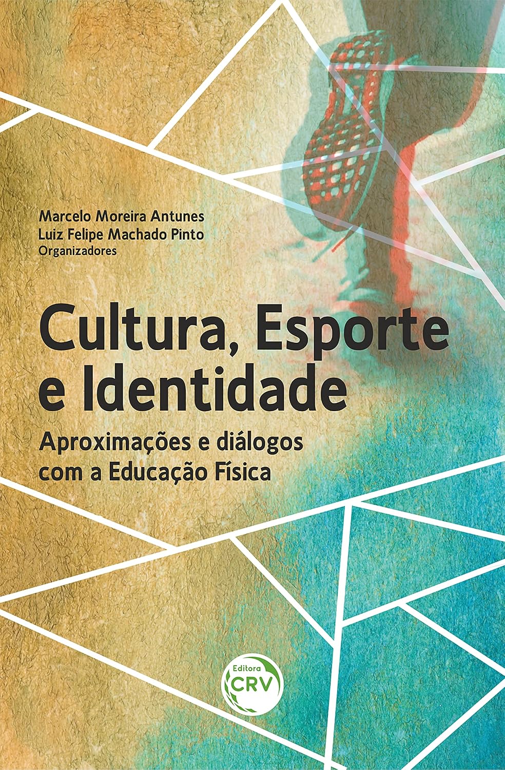CULTURA, ESPORTE E IDENTIDADE: Aproximações e diálogos com a Educação Física baixar livro de graça