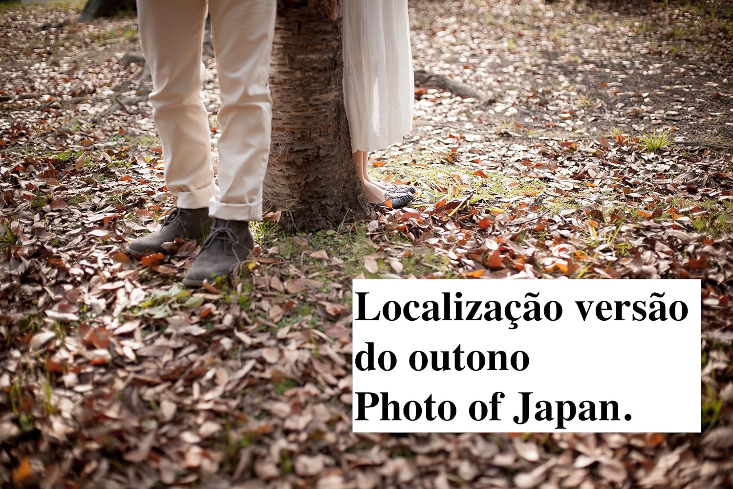Localização versão do outono Photo of Japan. baixar o livro de graça