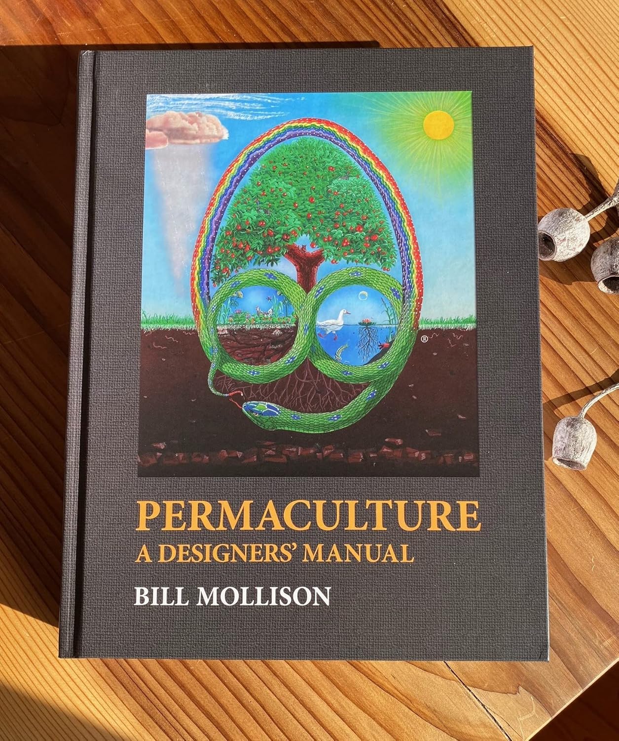 Permaculture: A Designers' Manual baixar livro de graça