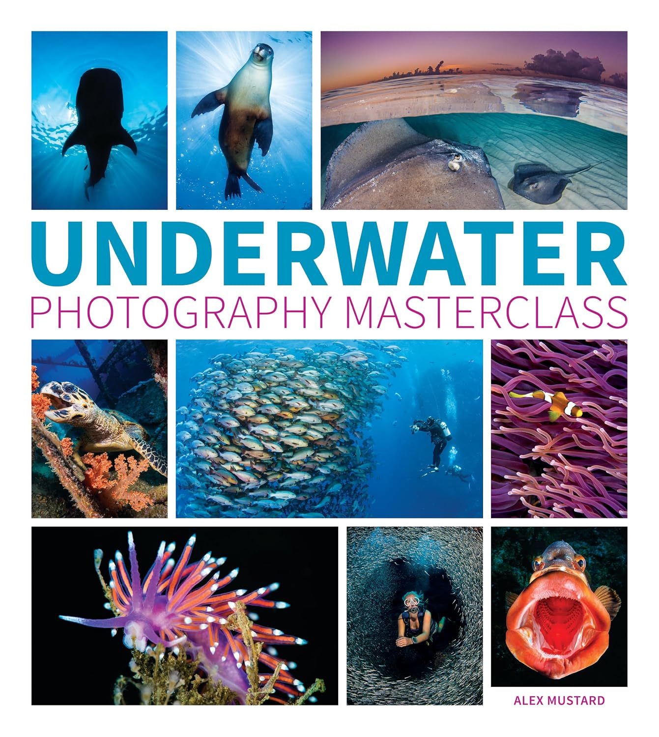 Underwater Photography Masterclass baixar o livro de graça