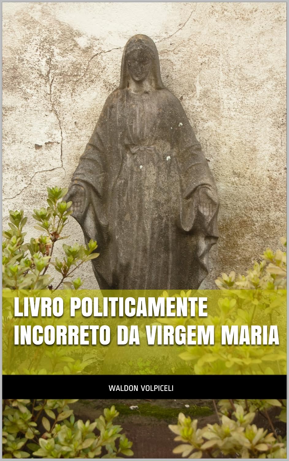 Livro Politicamente Incorreto da Virgem Maria baixar livro de graça