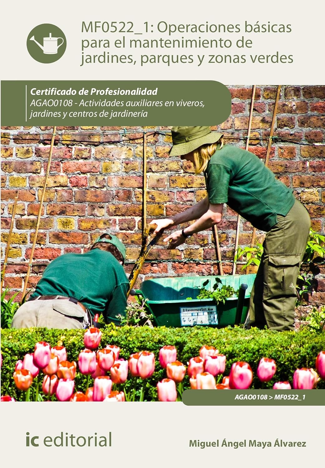 capítulo por capítulo baixar Operaciones básicas para el mantenimiento de jardines, parques y zonas verdes. AGAO0108 (Spanish Edition)