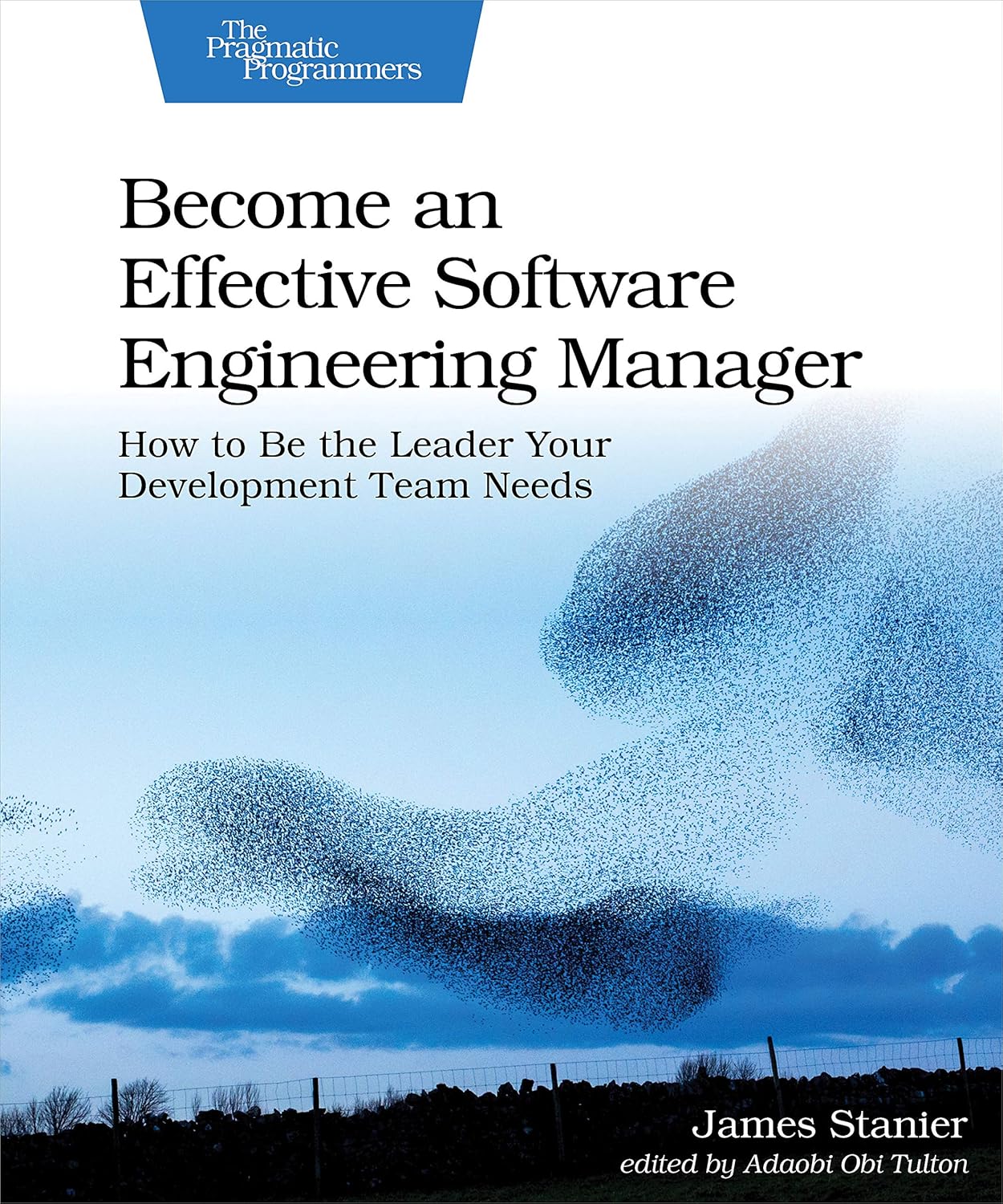 Become an Effective Software Engineering Manager: How to Be the Leader Your Development Team Needs baixar o livro de graça