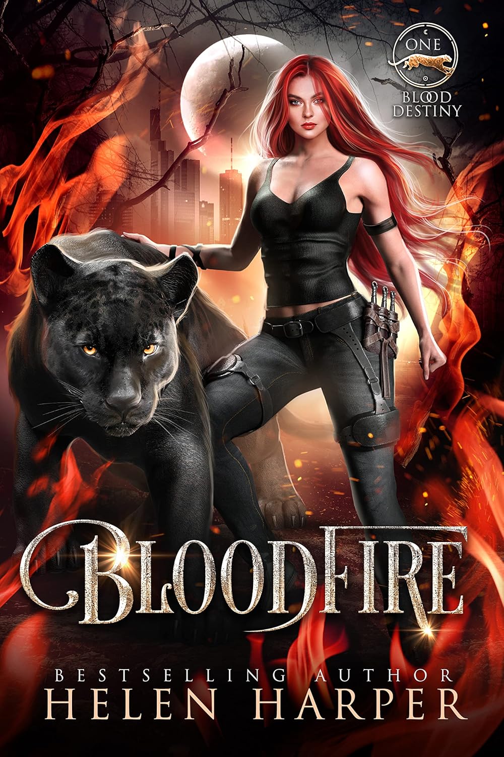 capítulo por capítulo baixar Bloodfire (Blood Destiny Book 1) (English Edition)