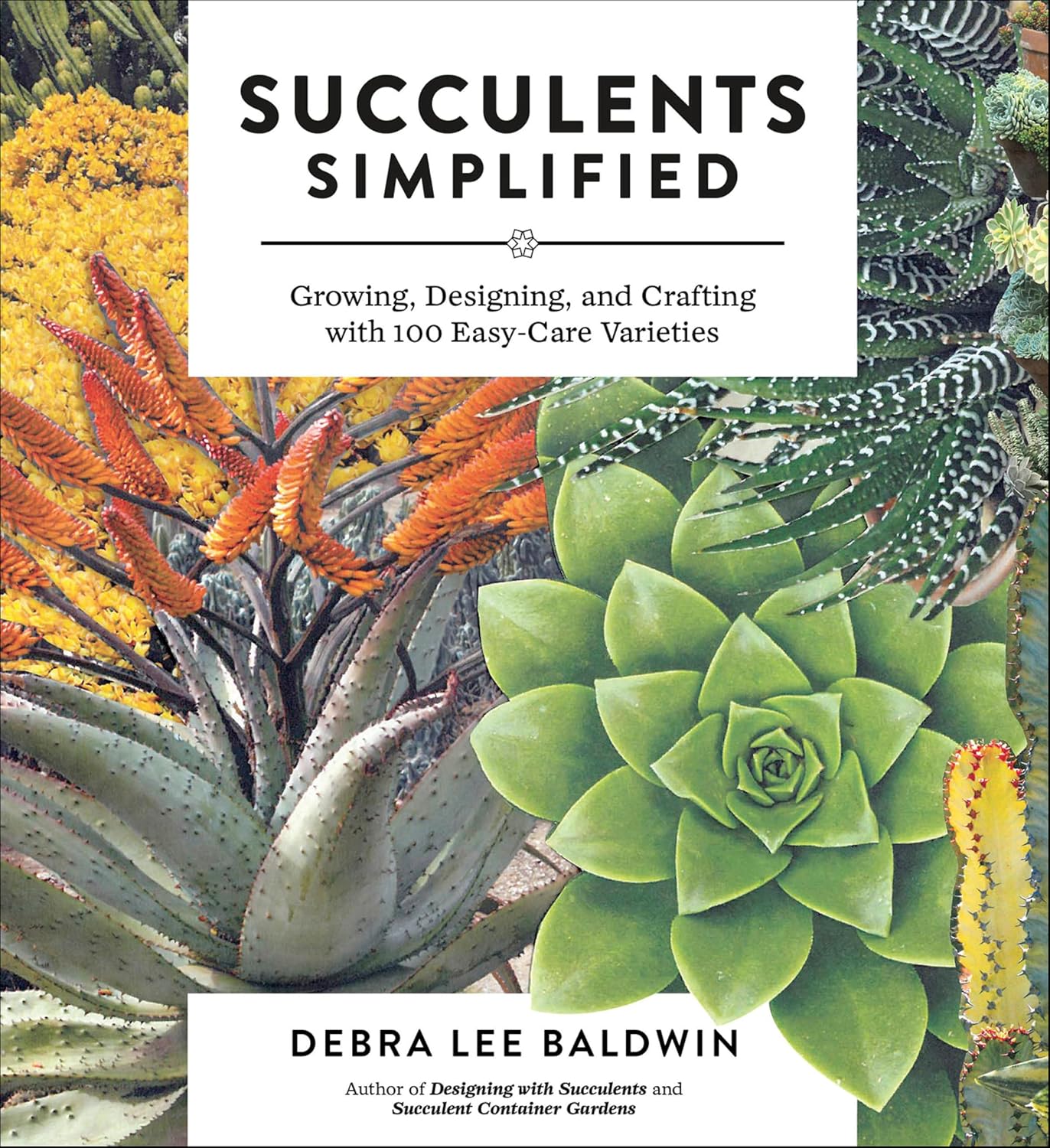Succulents Simplified: Growing, Designing, and Crafting with 100 Easy-Care Varieties (English Edition) baixar livro de graça