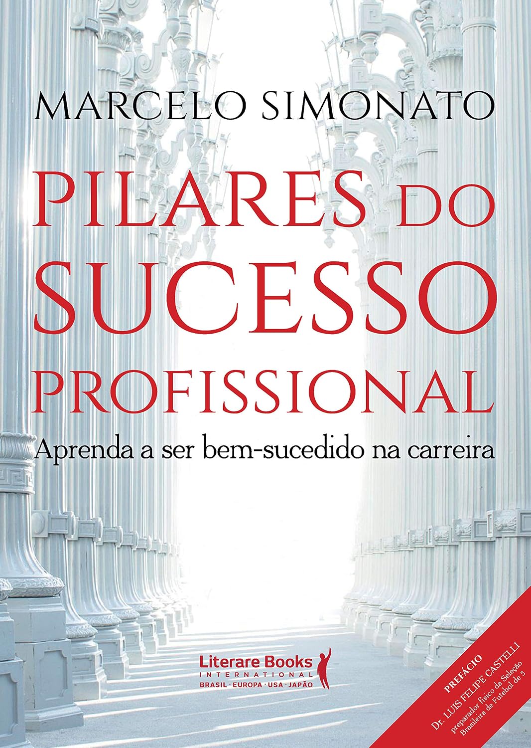ler totalmente Pilares do Sucesso Profissional: Aprenda a ser bem-sucedido na carreira