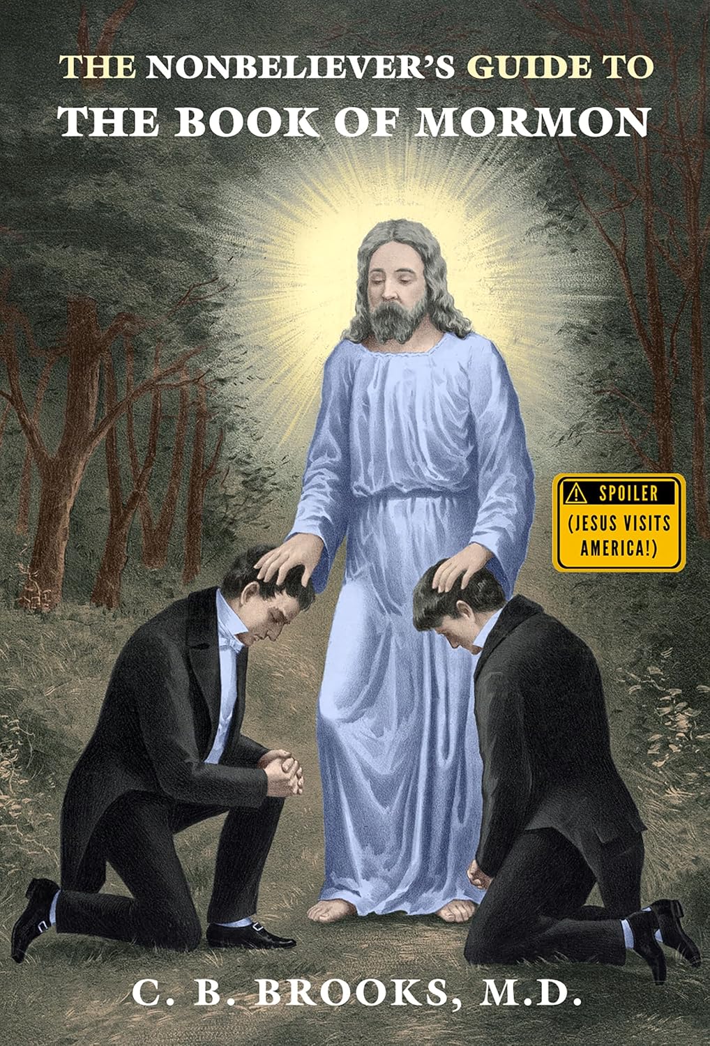 ler totalmente The Nonbeliever's Guide to the Book of Mormon (English Edition)