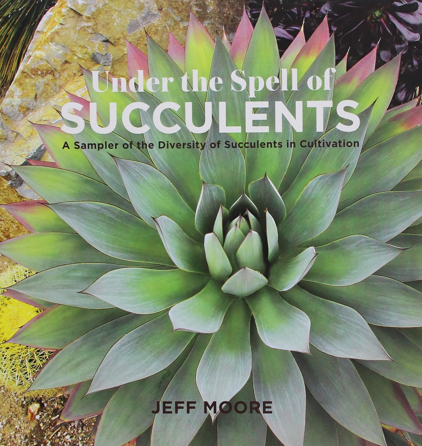 capítulo por capítulo baixar Under the Spell of Succulents: A Sampler of the Diversity of Succulents in Cultivation