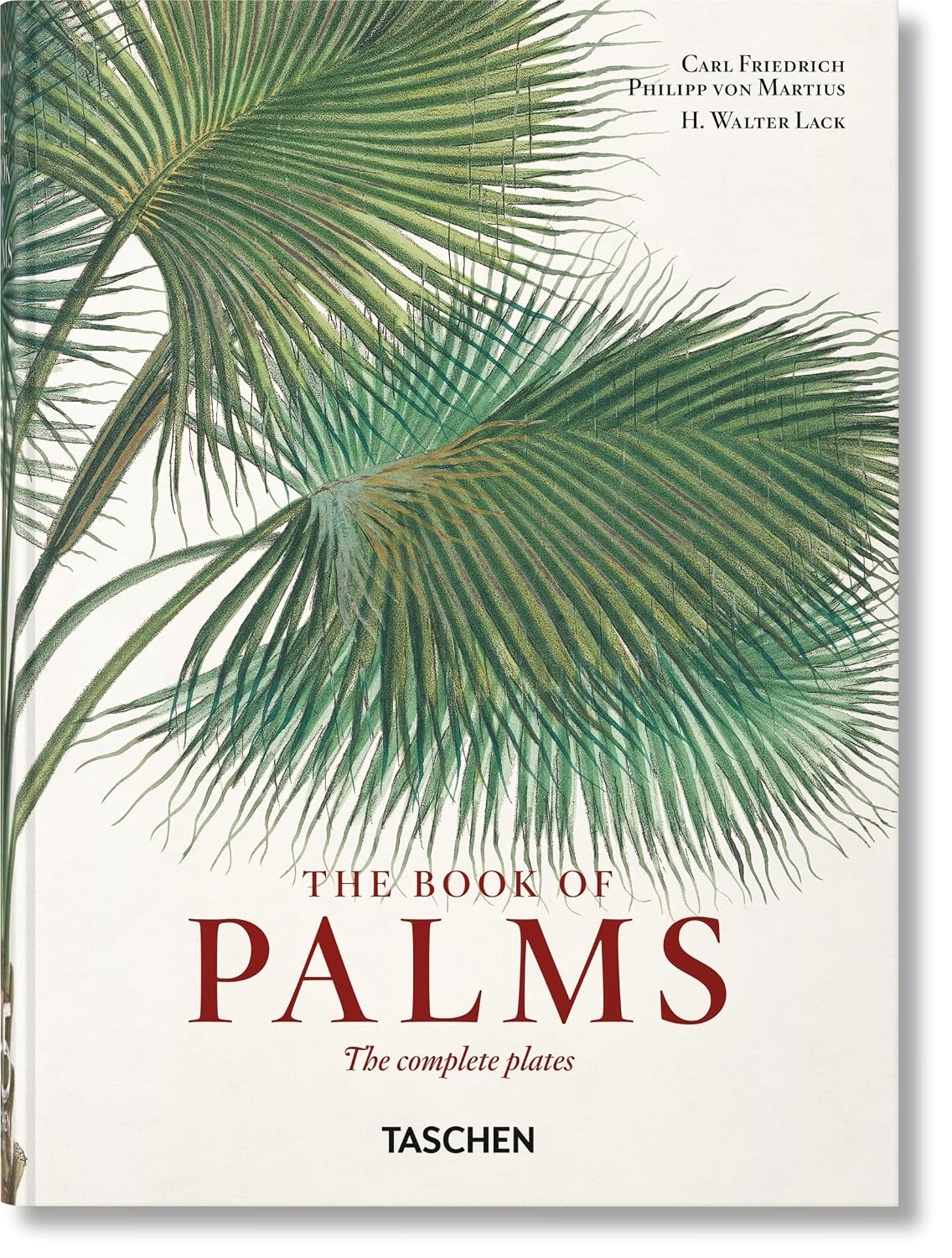 ler totalmente Von Martius. the Book of Palms.: The Book of Palms. 45th Ed.