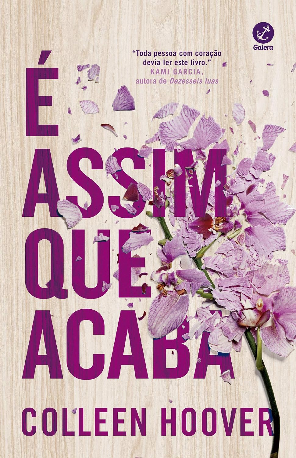 É Assim que Acaba baixar livro de graça