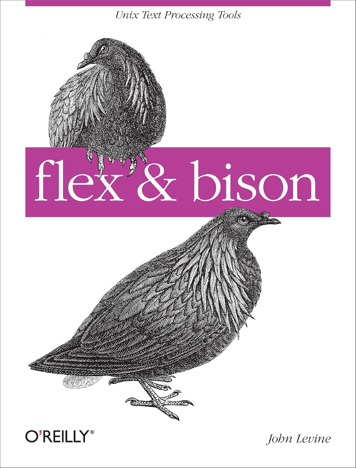 capítulo por capítulo baixar flex & bison: Text Processing Tools