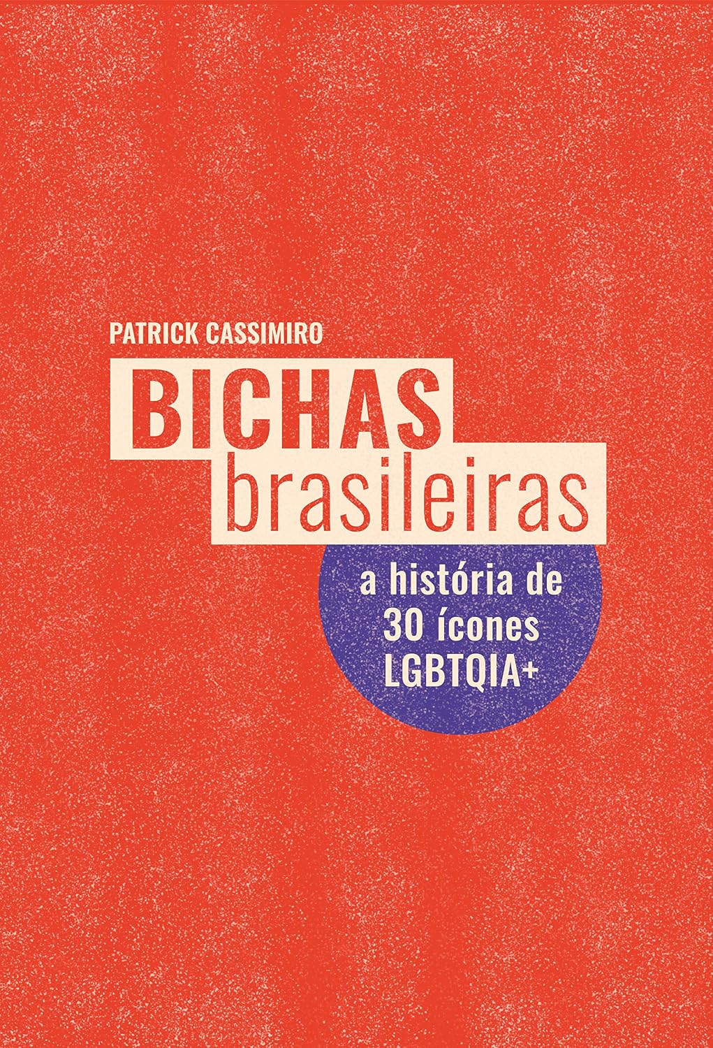 Bichas Brasileiras: A história de 30 ícones LGBTQIA+ baixar livro de graça