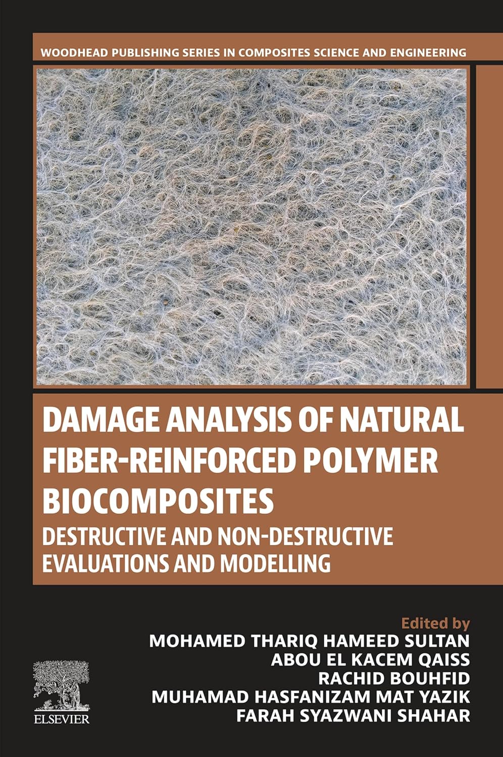 Damage Analysis of Natural Fiber-reinforced Polymer Biocomposites: Destructive and Non-destructive Evaluations and Modelling (Woodhead Publishing Series ... Science and Engineering) (English Edition)
