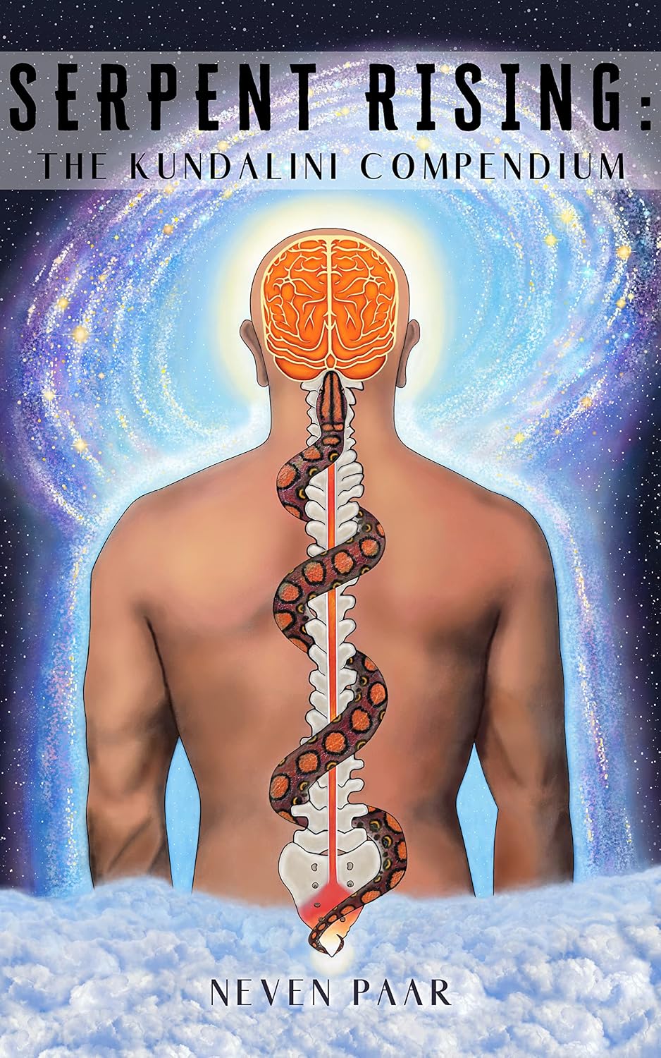 ler totalmente Serpent Rising: The Kundalini Compendium: The World's Most Comprehensive Body of Work on Human Energy Potential (English Edition)