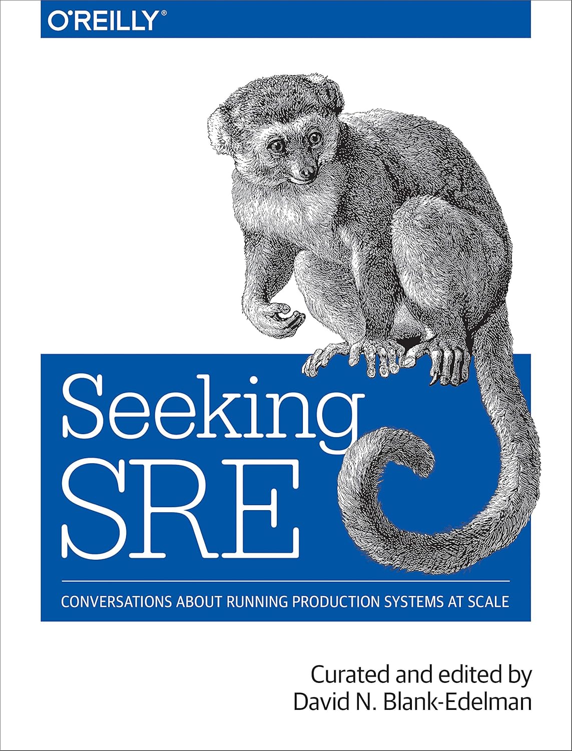 Seeking SRE: Conversations About Running Production Systems at Scale baixar o livro de graça