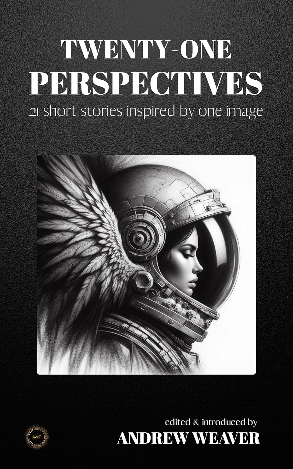 Twenty-One Perspectives: 21 short stories inspired by one image (English Edition) baixar o livro de graça