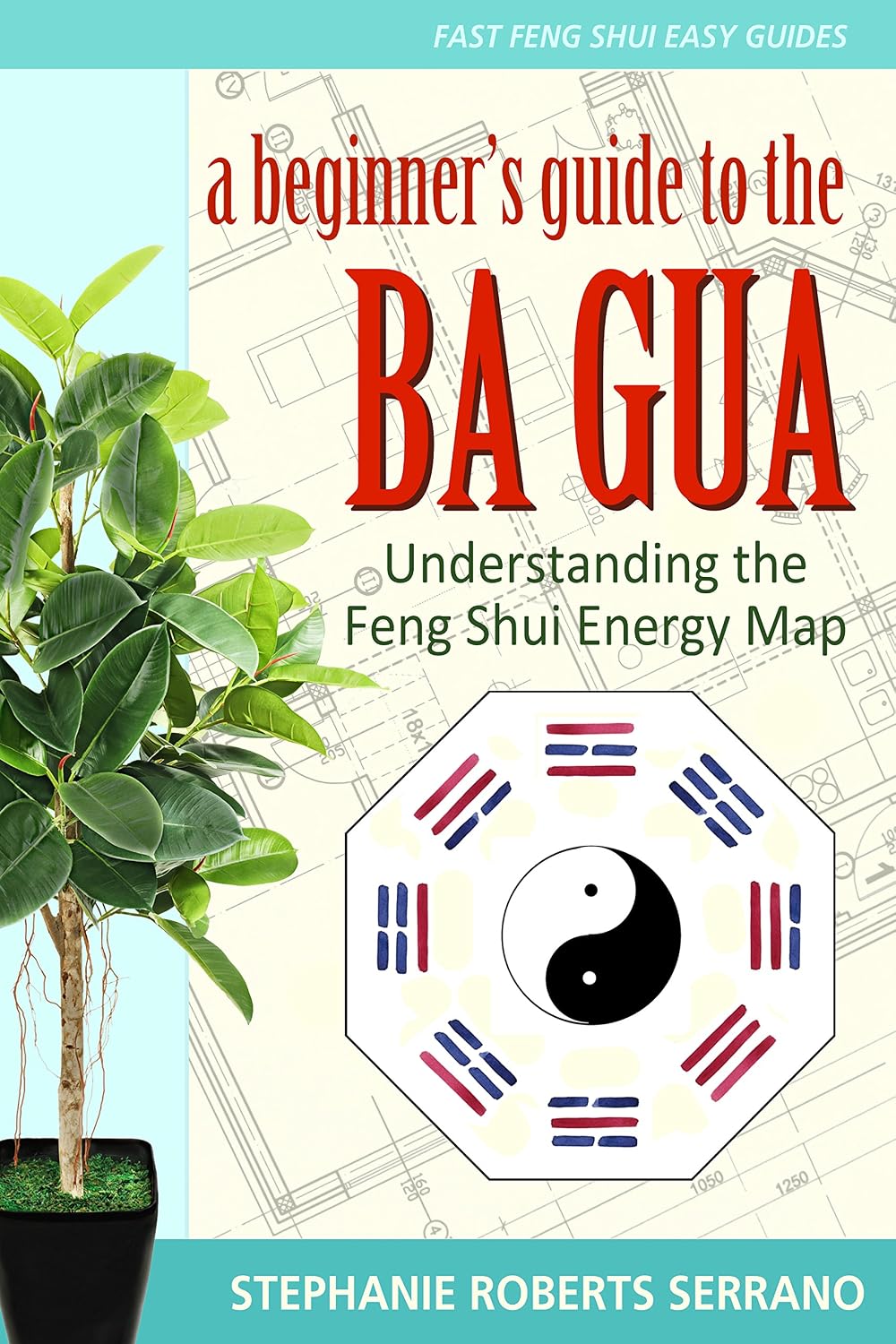 A Beginner's Guide to the Ba Gua: Understanding the Feng Shui Energy Map (Fast Feng Shui Easy Guides Book 1) (English Edition) baixar livro de graça