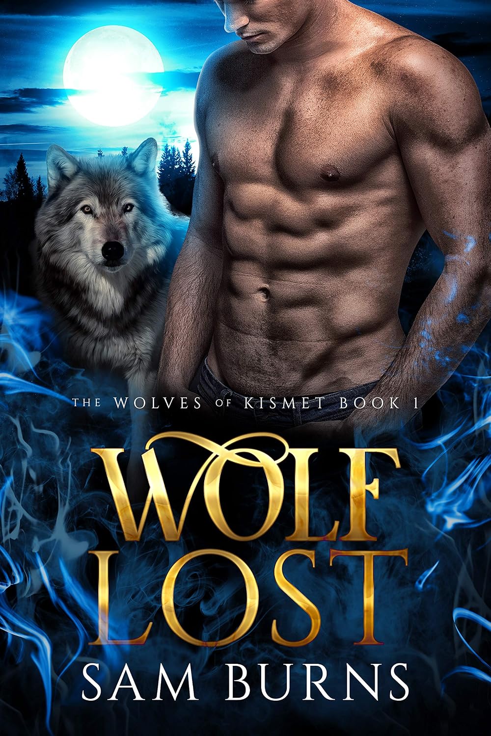 Wolf Lost (The Wolves of Kismet Book 1) (English Edition) baixar livro de graça