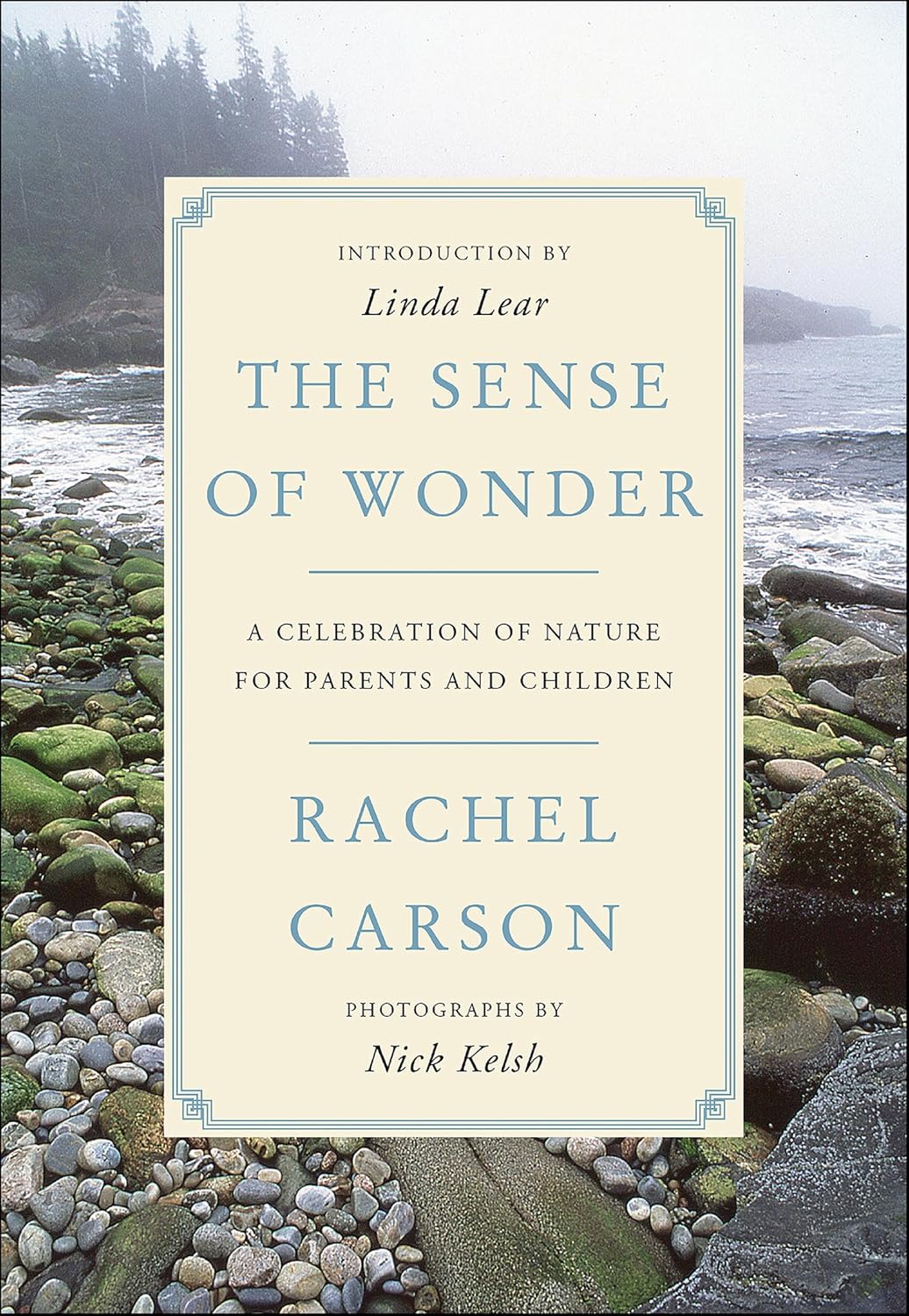 ler totalmente The Sense of Wonder: A Celebration of Nature for Parents and Children (English Edition)