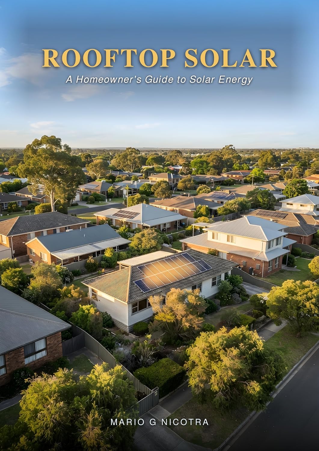 Rooftop Solar: A Homeowner's Guide to Solar Energy (English Edition) baixar o livro de graça