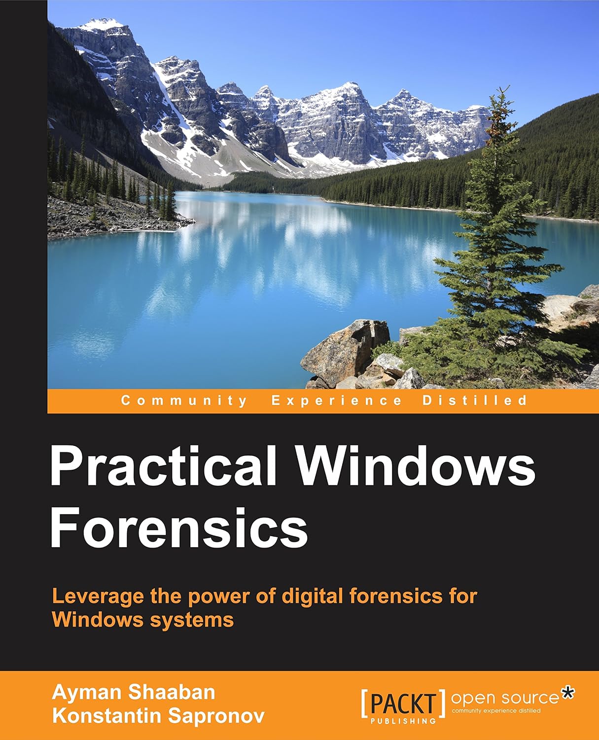 Practical Windows Forensics: Leverage the power of digital forensics for Windows systems (English Edition)