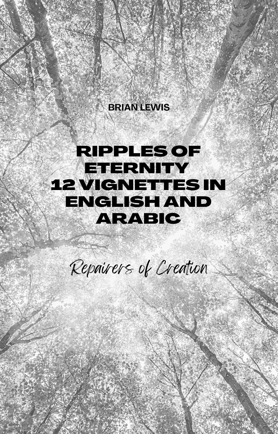 Ripples of Eternity 12 Vignettes in English and Arabic: Repairers of Creation (English Edition) baixar o livro de graça