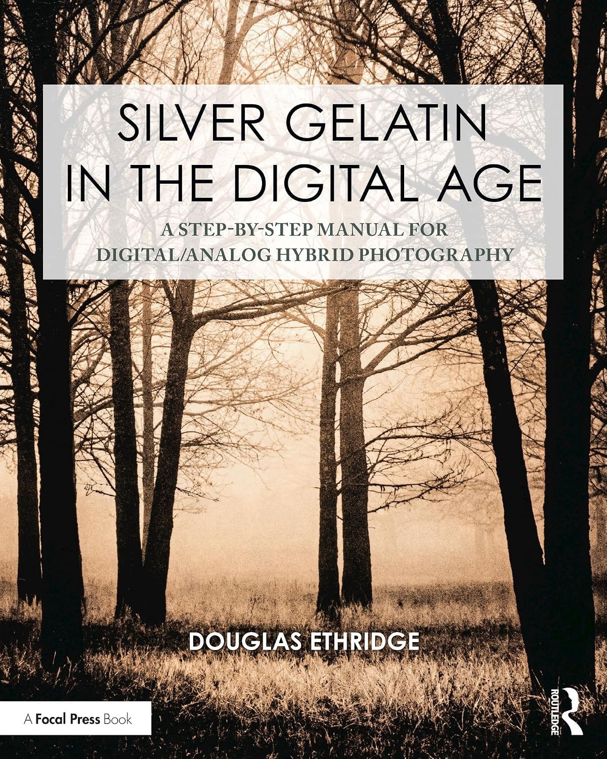 ler totalmente Silver Gelatin In the Digital Age: A Step-by-Step Manual for Digital/Analog Hybrid Photography (Contemporary Practices in Alternative Process Photography) (English Edition)