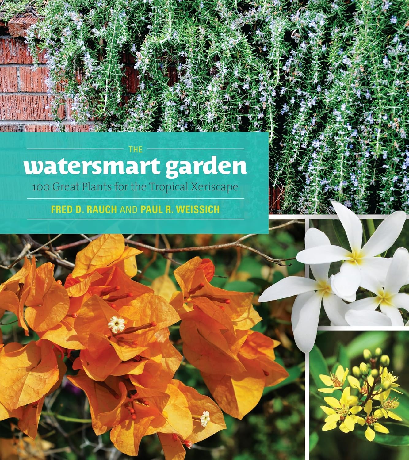 capítulo por capítulo baixar The Watersmart Garden: 100 Great Plants for the Tropical Xeriscape
