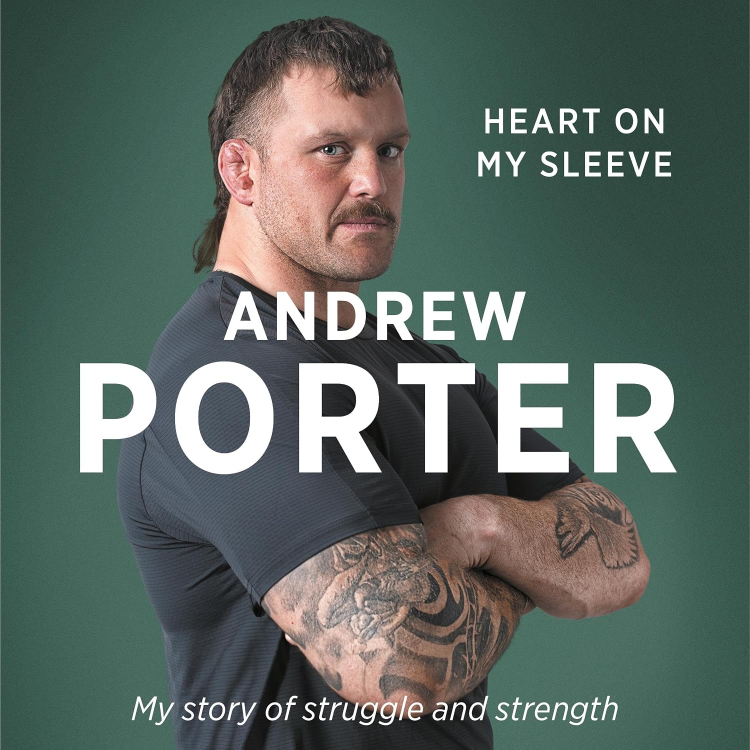 ler totalmente Heart on My Sleeve: My story of struggle and strength WINNER AT THE IRISH BOOK AWARDS 2025