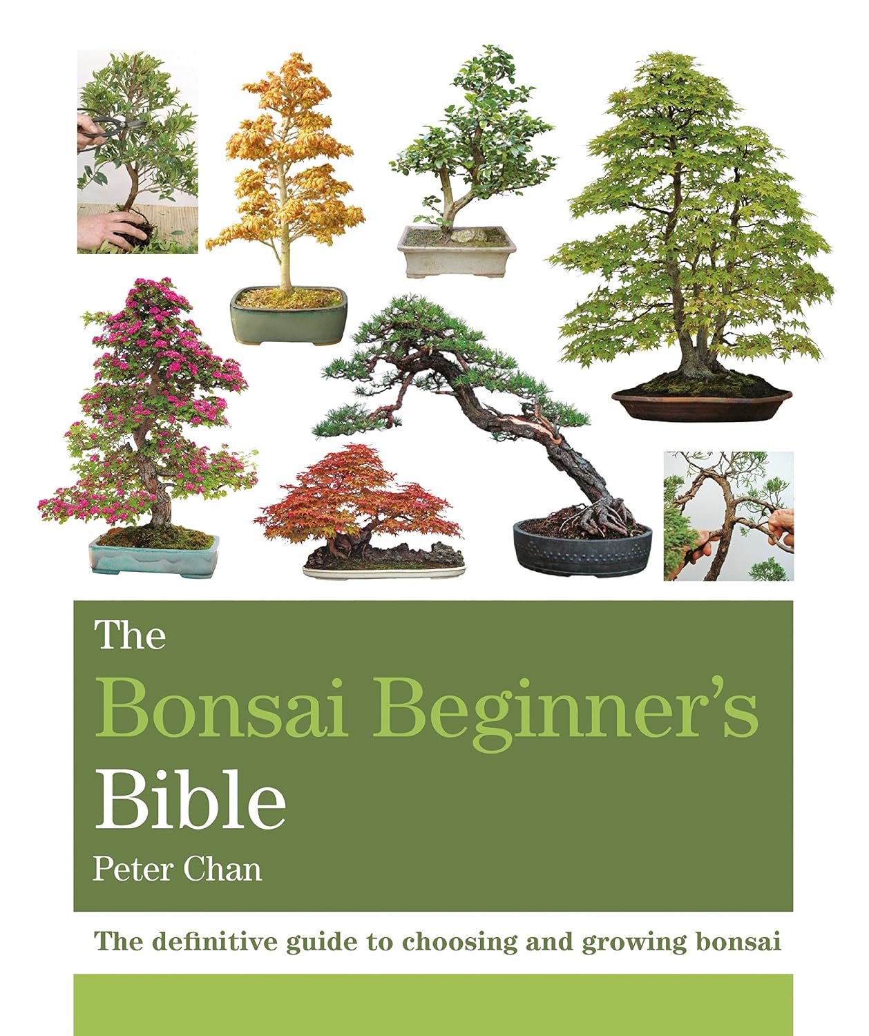 capítulo por capítulo baixar The Bonsai Bible: The definitive guide to choosing and growing bonsai (Octopus Bible Series) (English Edition)