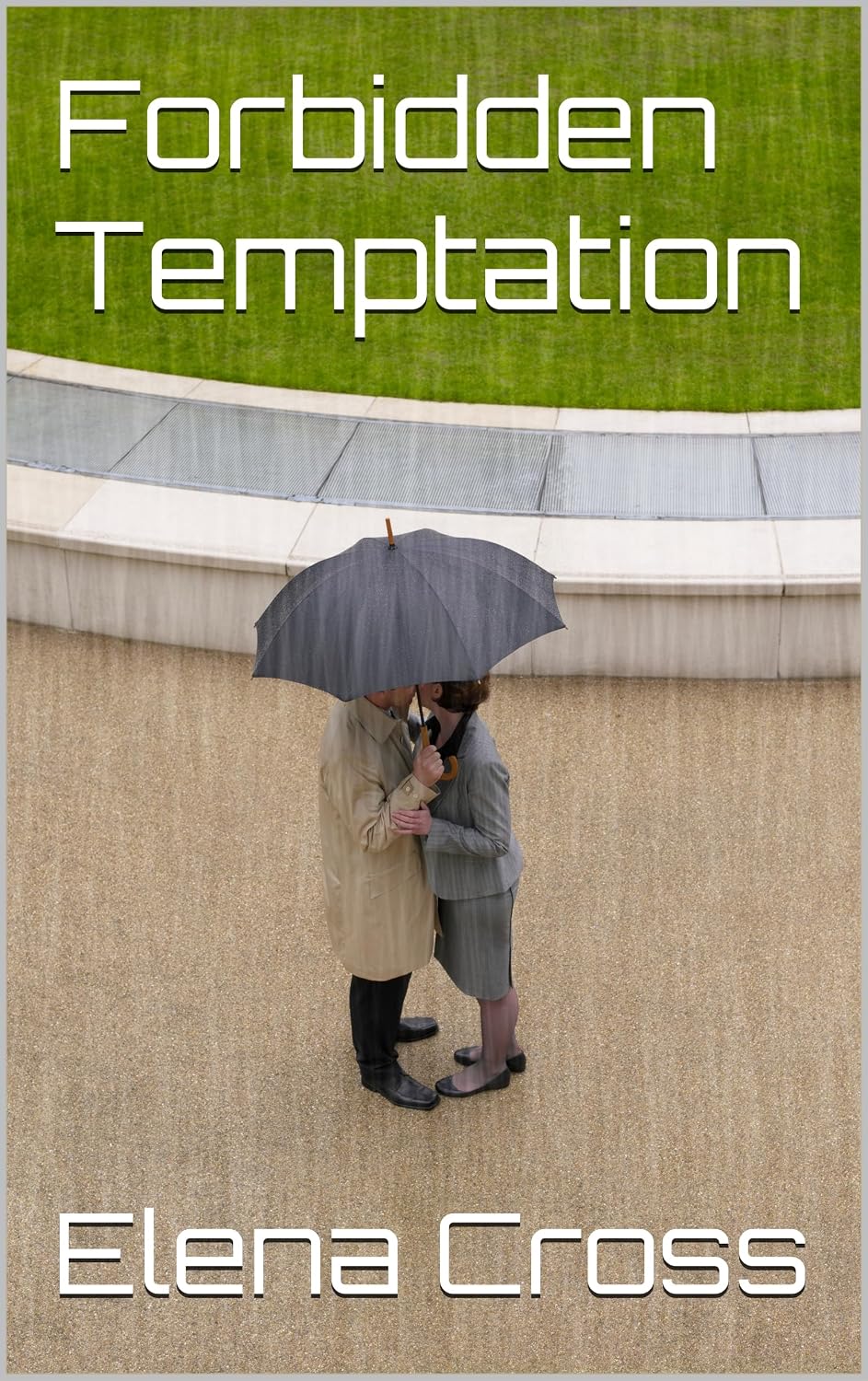 Forbidden Temptation (English Edition) baixar o livro de graça