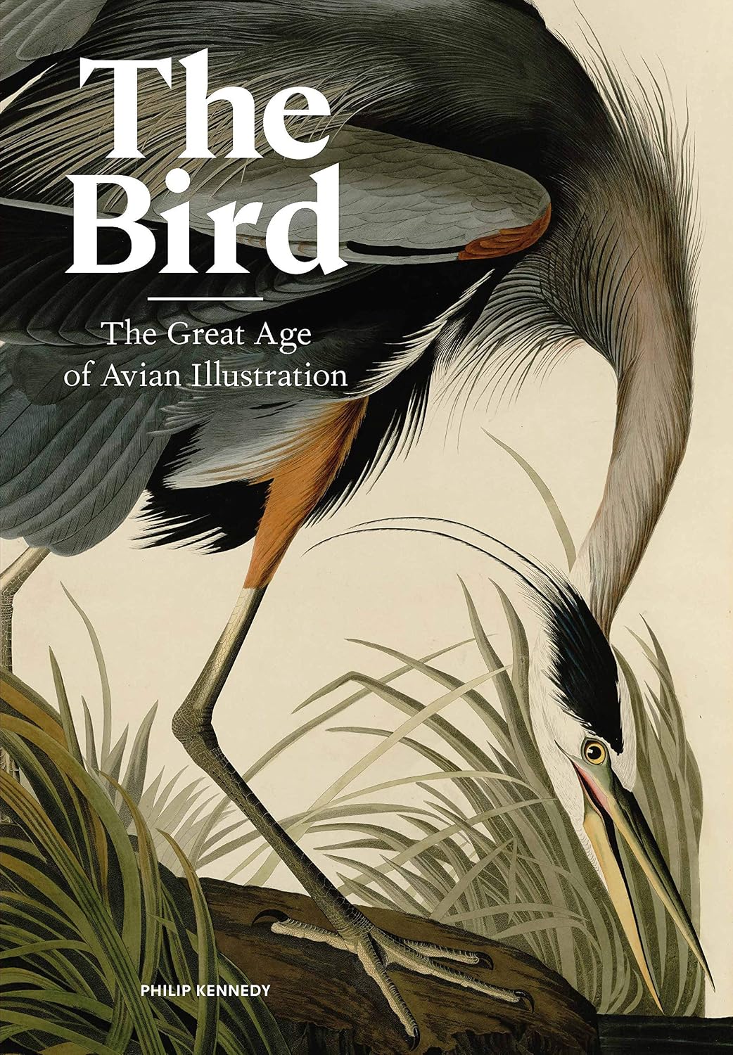ler totalmente The Bird: The Great Age of Avian Illustration