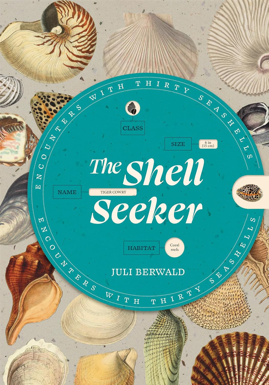 The Shell Seeker: Encounters with Thirty Seashells baixar o livro de graça