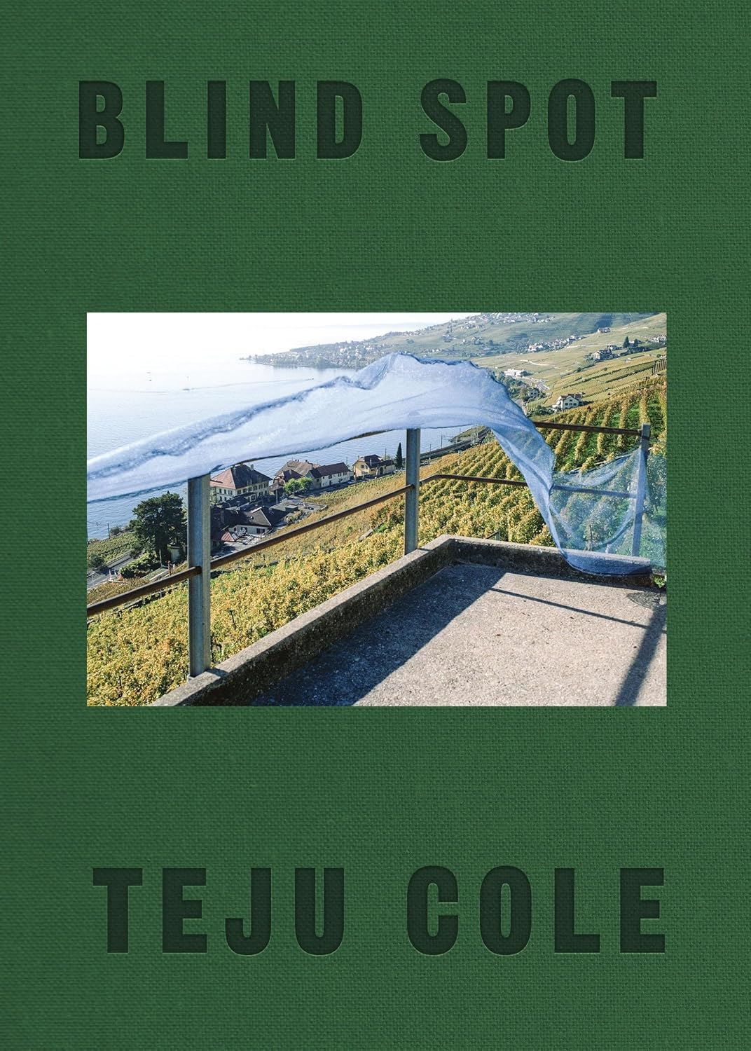 Blind Spot baixar o livro de graça