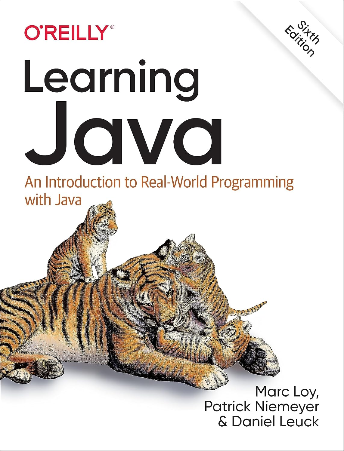 Learning Java: An Introduction to Real-World Programming with Java baixar o livro de graça