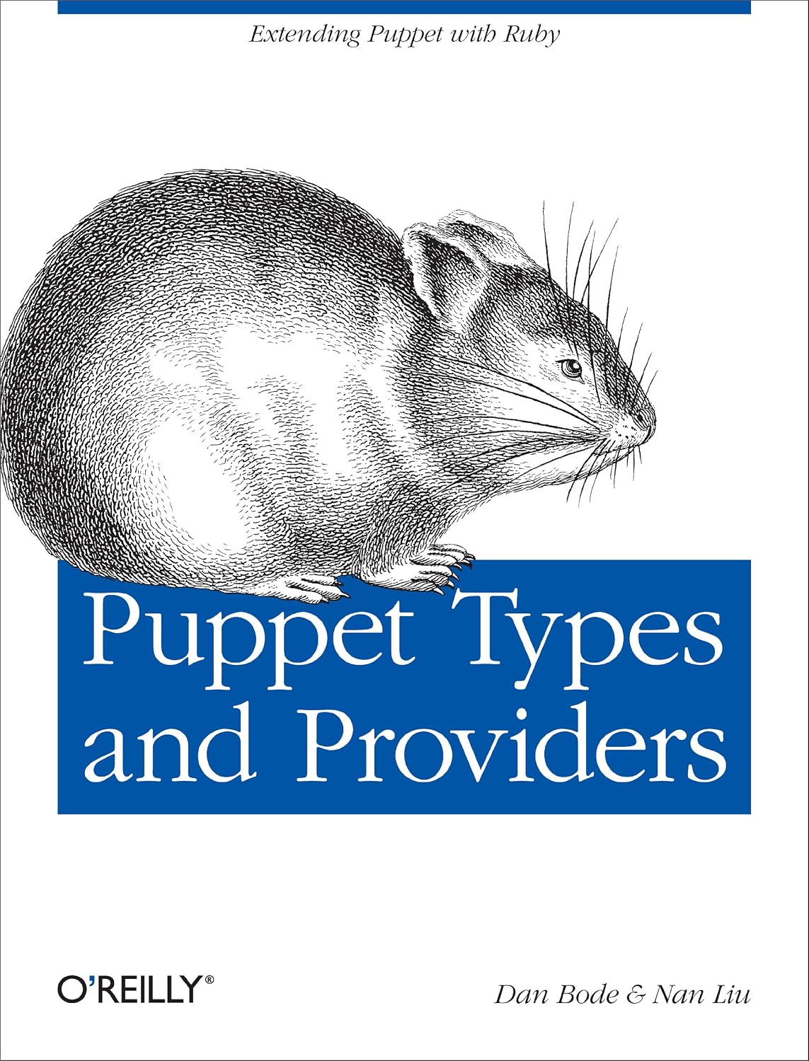 Puppet Types and Providers: Extending Puppet with Ruby (English Edition) baixar livro de graça