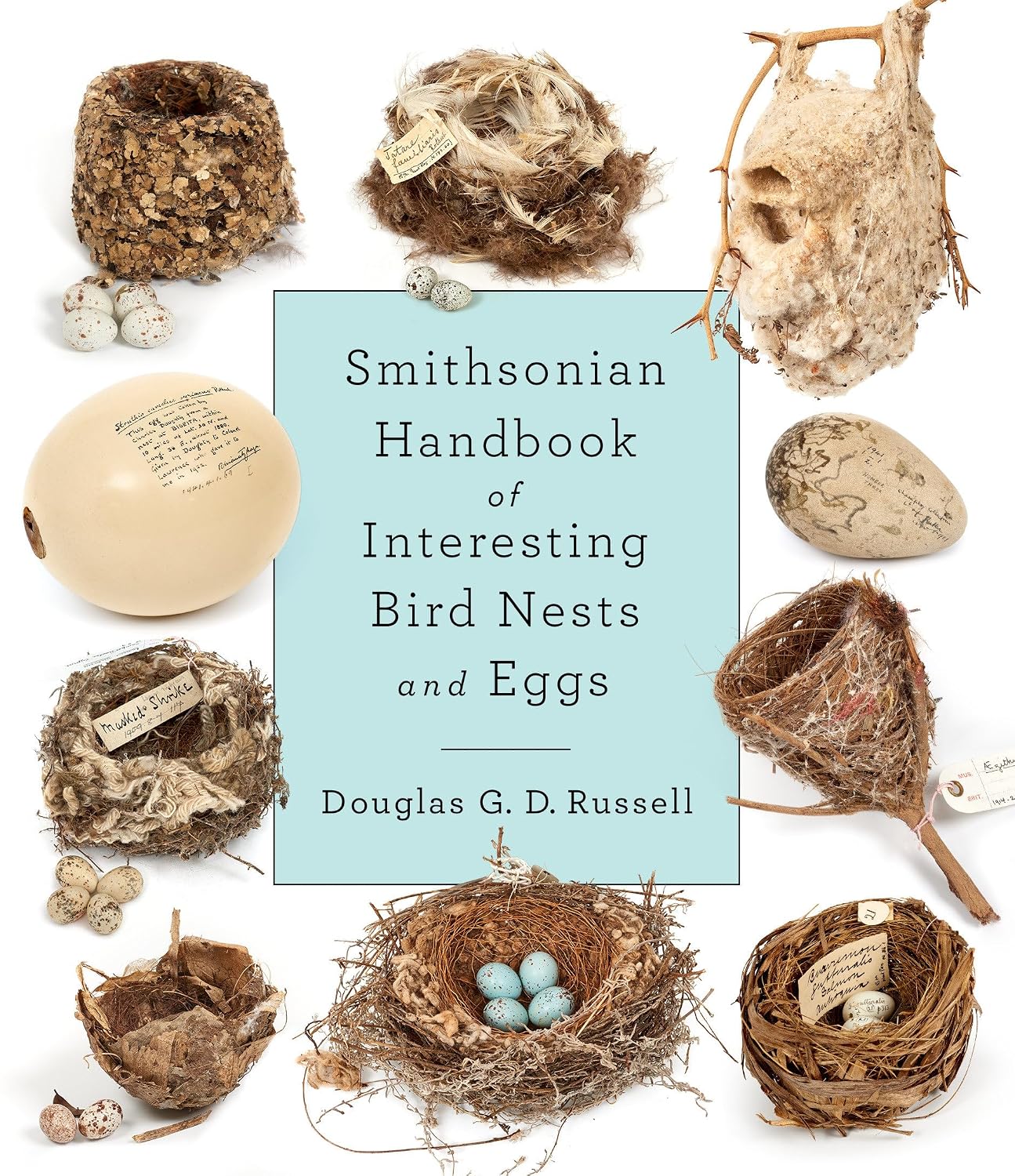 Smithsonian Handbook of Interesting Bird Nests and Eggs baixar livro de graça