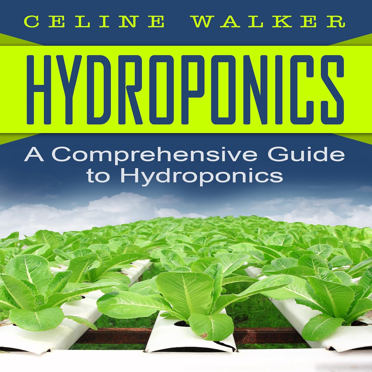 Hydroponics: A Comprehensive Guide to Hydroponics baixar o livro de graça