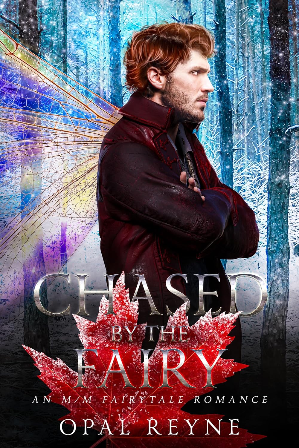 Chased by the Fairy: An M/M Fairytale romance (English Edition) baixar livro de graça