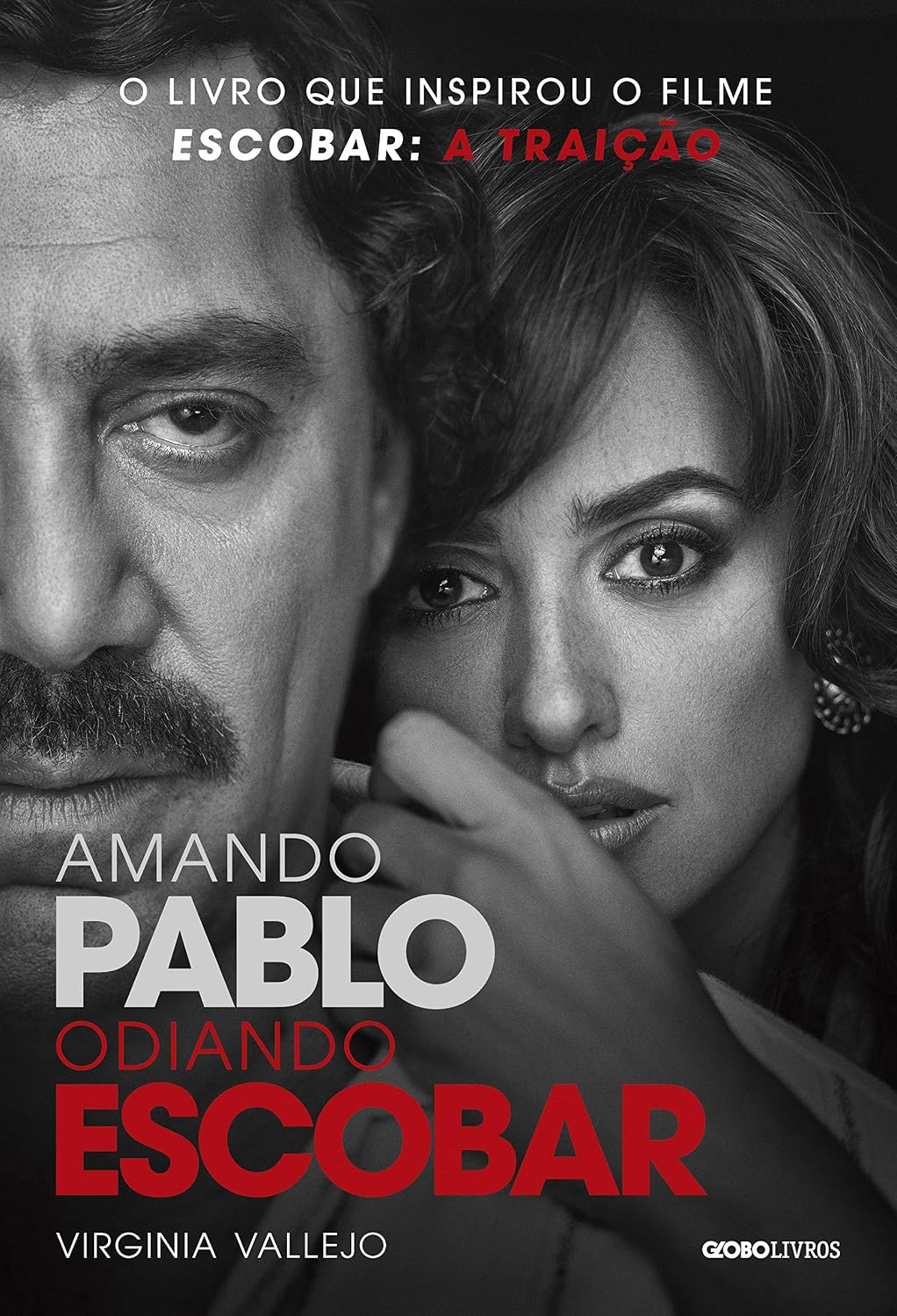 Amando Pablo, Odiando Escobar baixar livro de graça