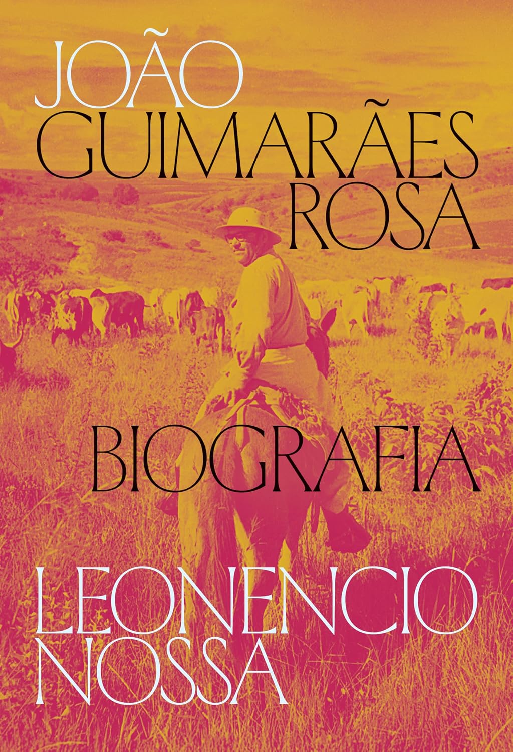 capítulo por capítulo baixar João Guimarães Rosa: uma biografia
