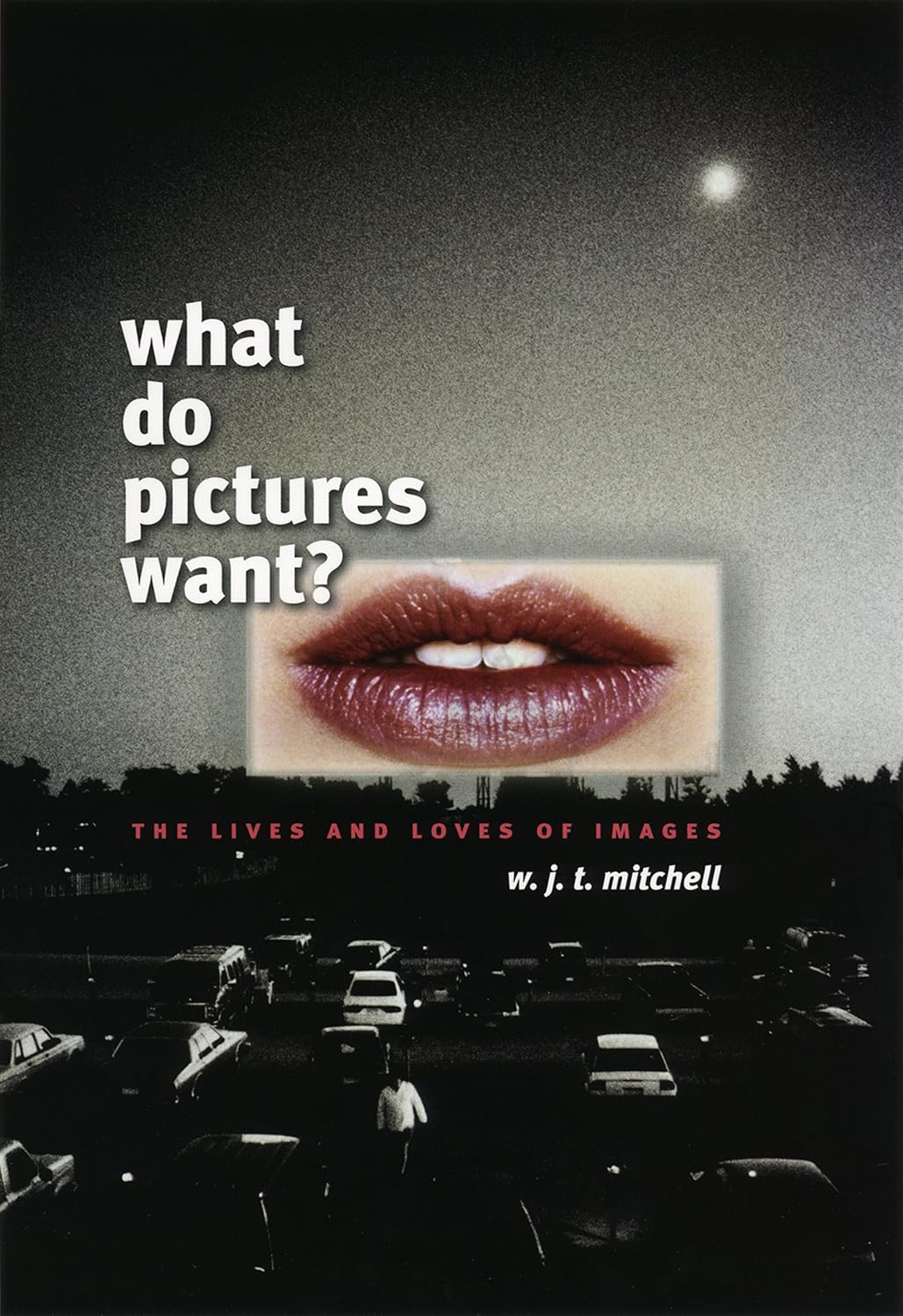 What Do Pictures Want?: The Lives and Loves of Images (English Edition) baixar o livro de graça