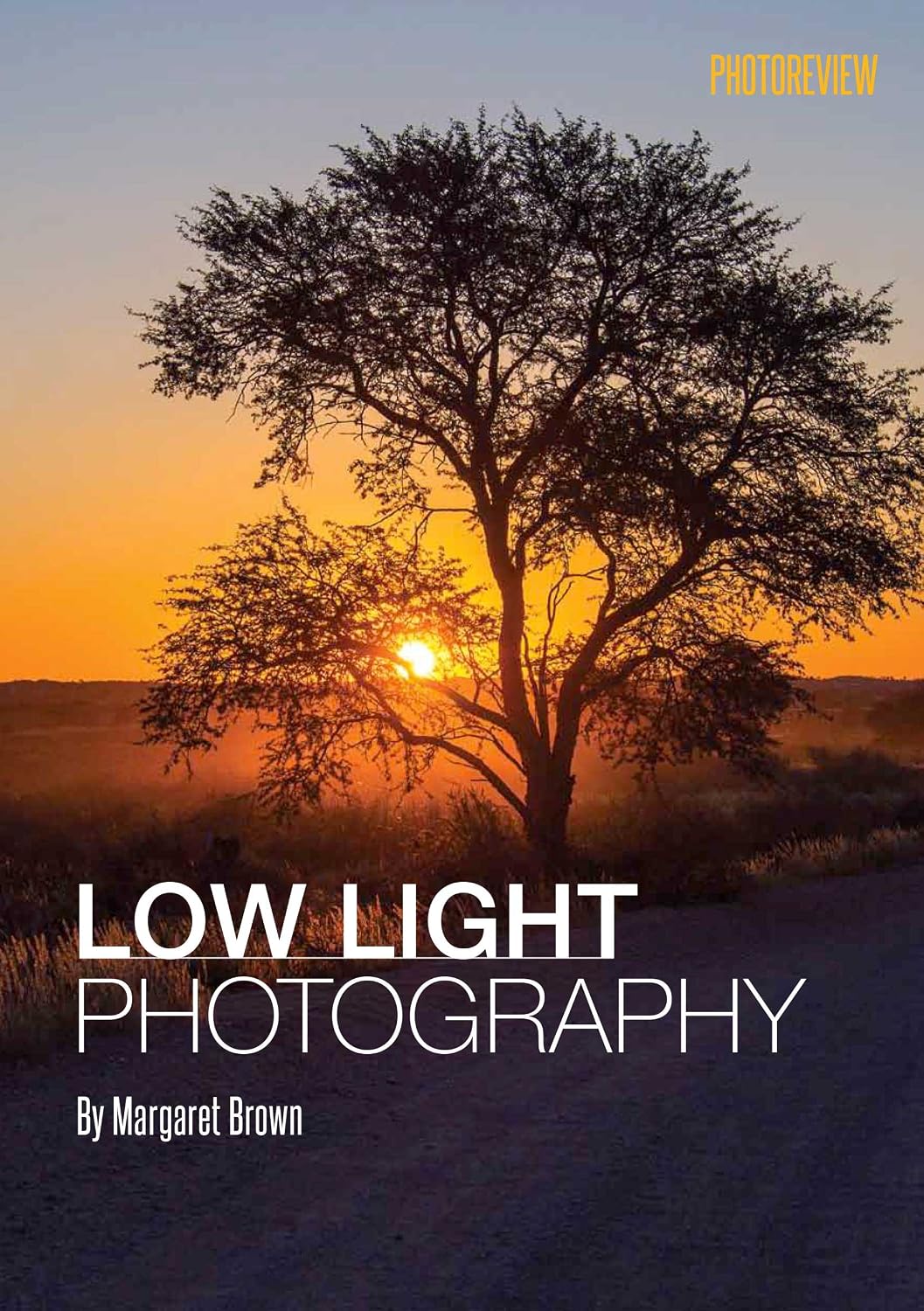 capítulo por capítulo baixar Low Light Photography (English Edition)