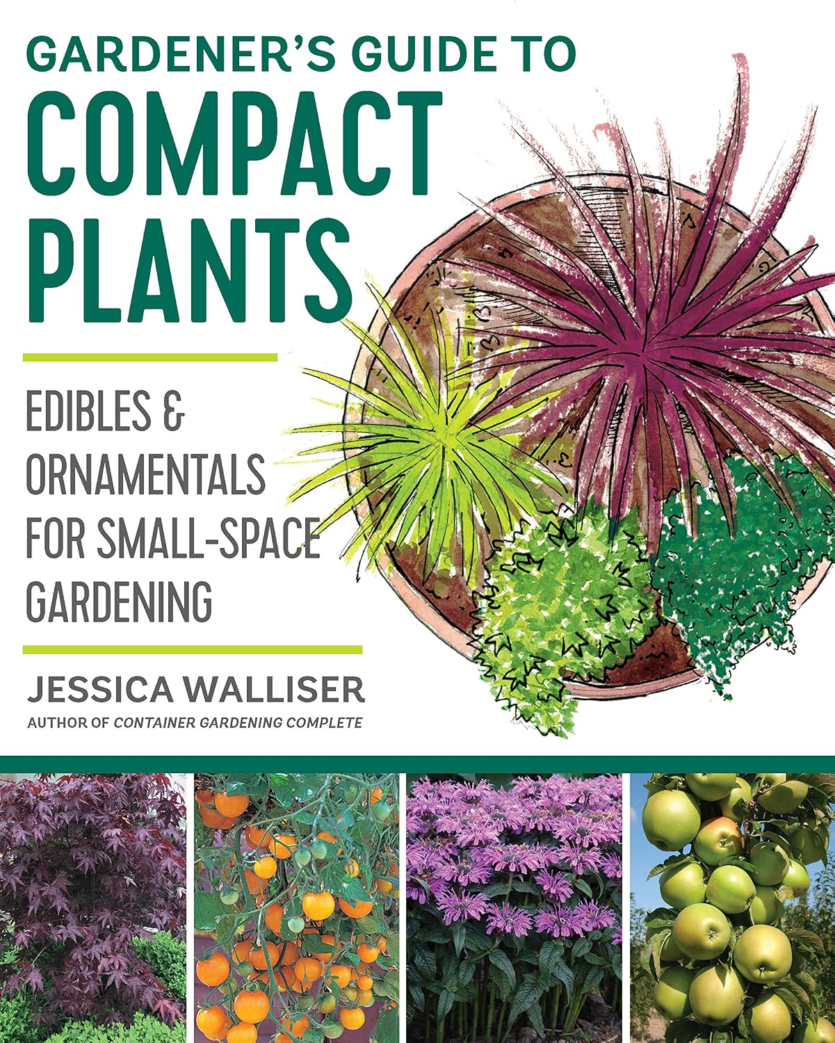 Gardener's Guide to Compact Plants: Edibles and Ornamentals for Small-Space Gardening (English Edition) baixar livro de graça