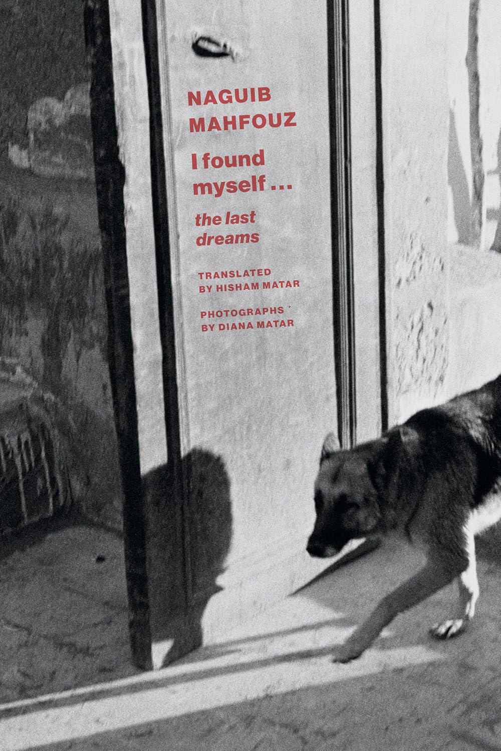 ler totalmente I Found Myself: Last Dreams