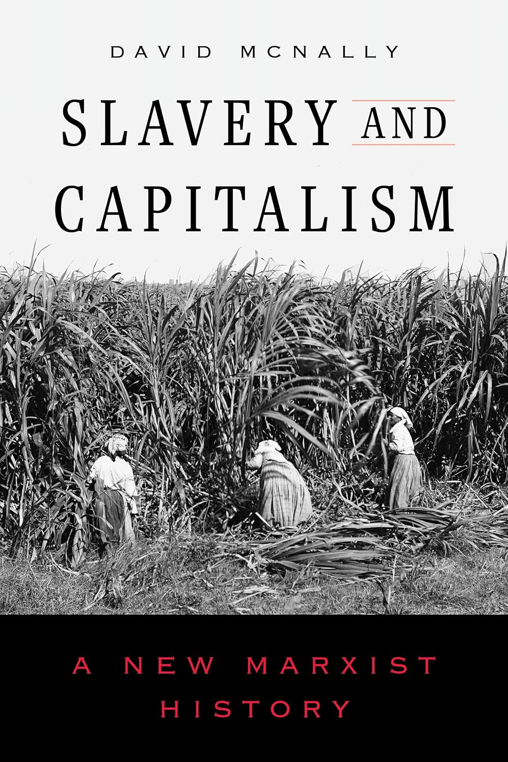 capítulo por capítulo baixar Slavery and Capitalism: A New Marxist History