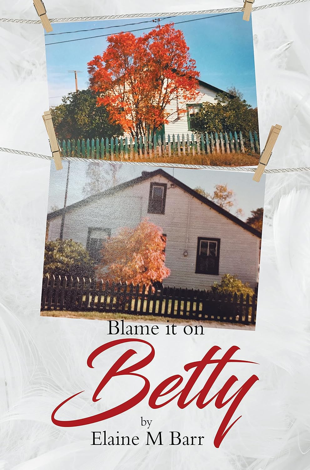 ler totalmente Blame it on Betty (English Edition)
